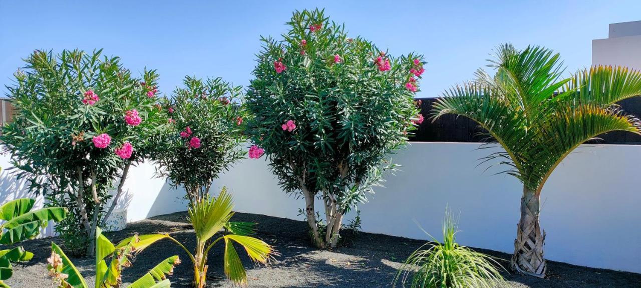 Villa Fedelian 2 Playa Blanca Exterior foto